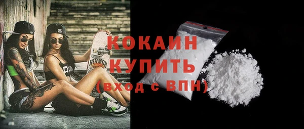молекула духа Богданович