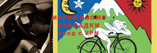 молекула духа Богданович
