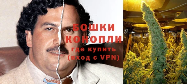 молекула духа Богданович