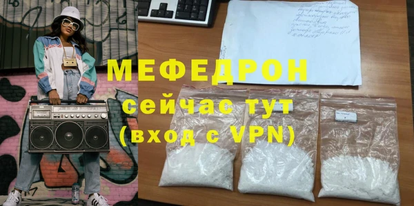молекула духа Богданович