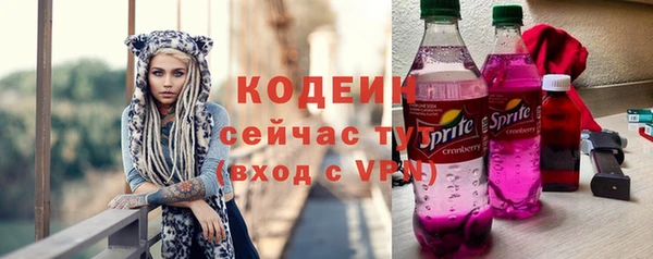 ECSTASY Белокуриха