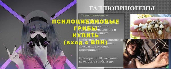 молекула духа Богданович