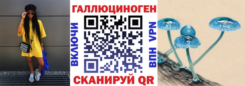 Псилоцибиновые грибы Psilocybine cubensis  Верещагино 